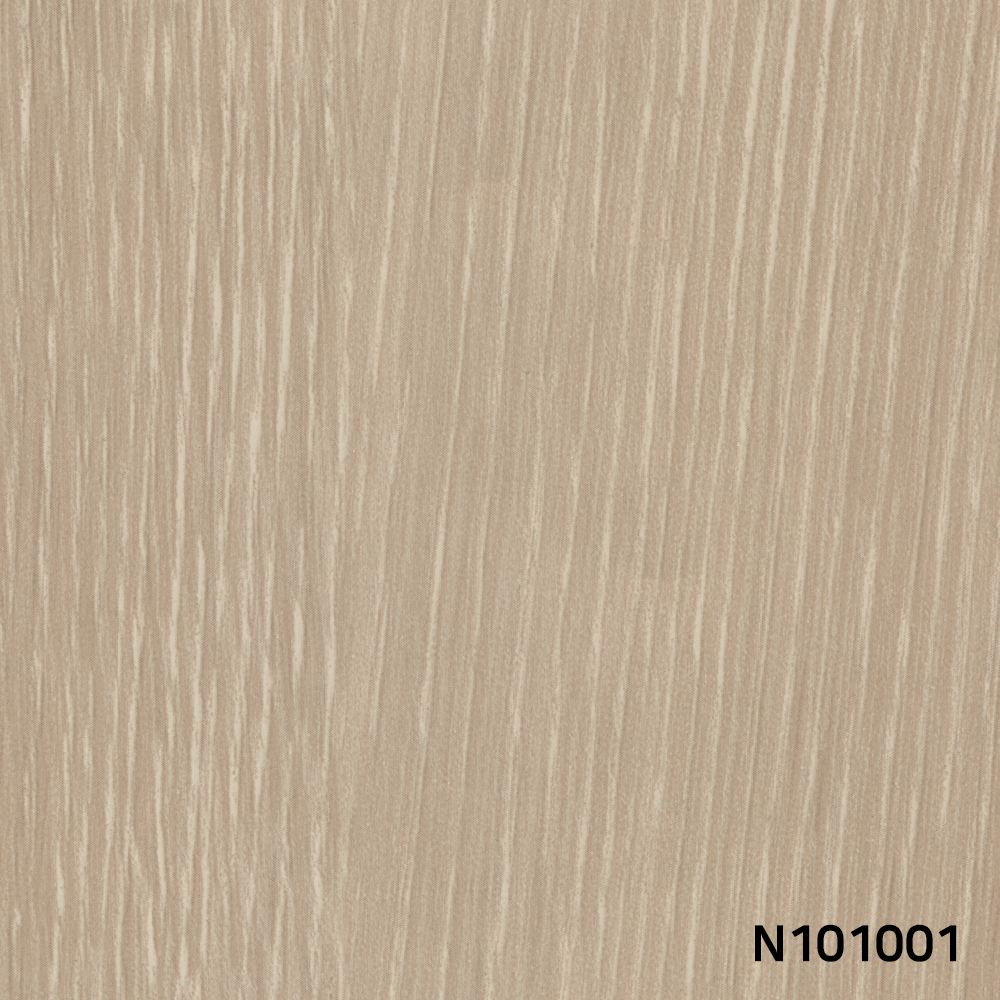 N101001.jpg