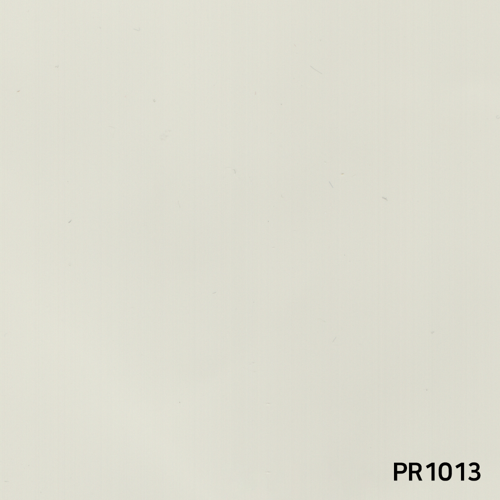 PR1013.jpg