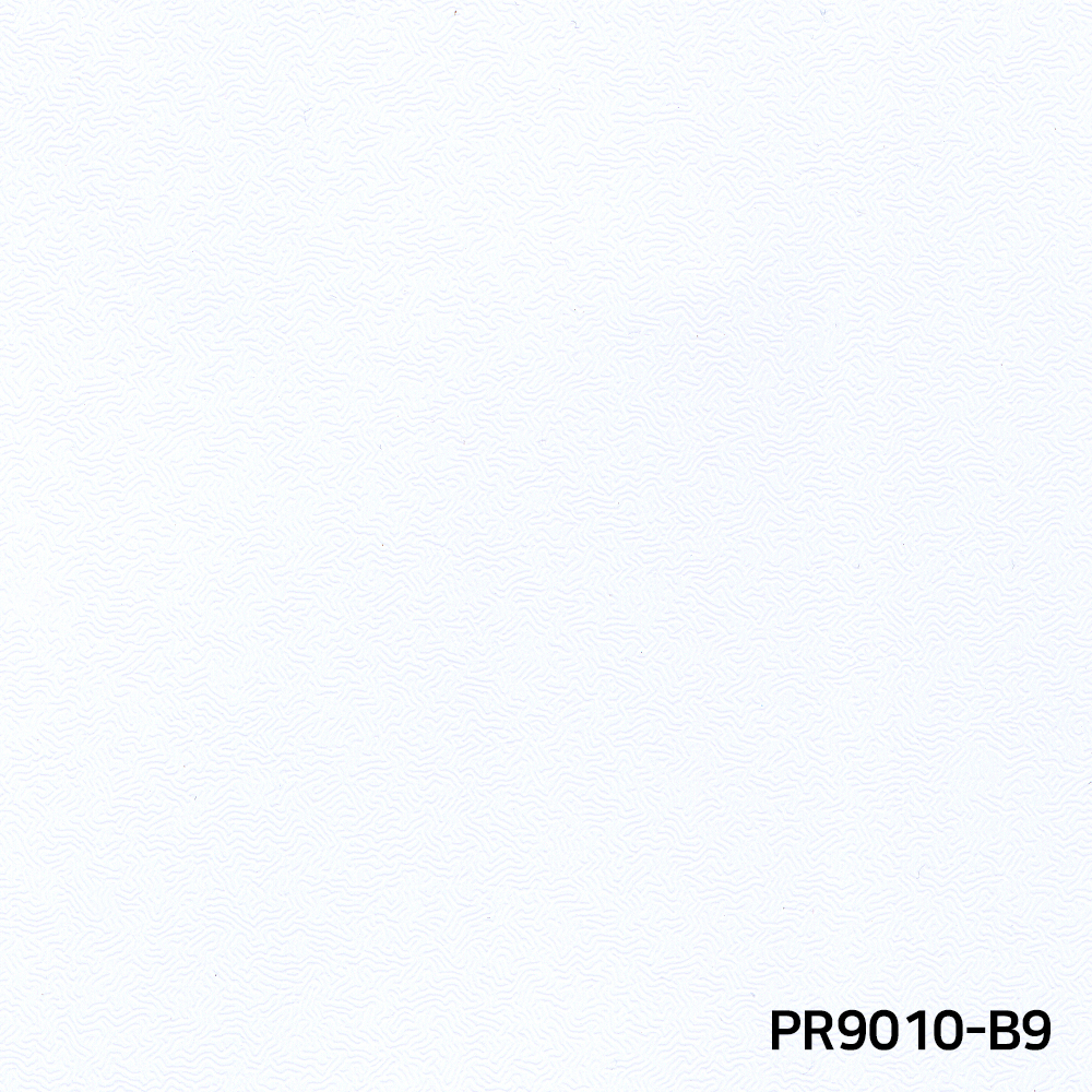 PR9010-B9.jpg