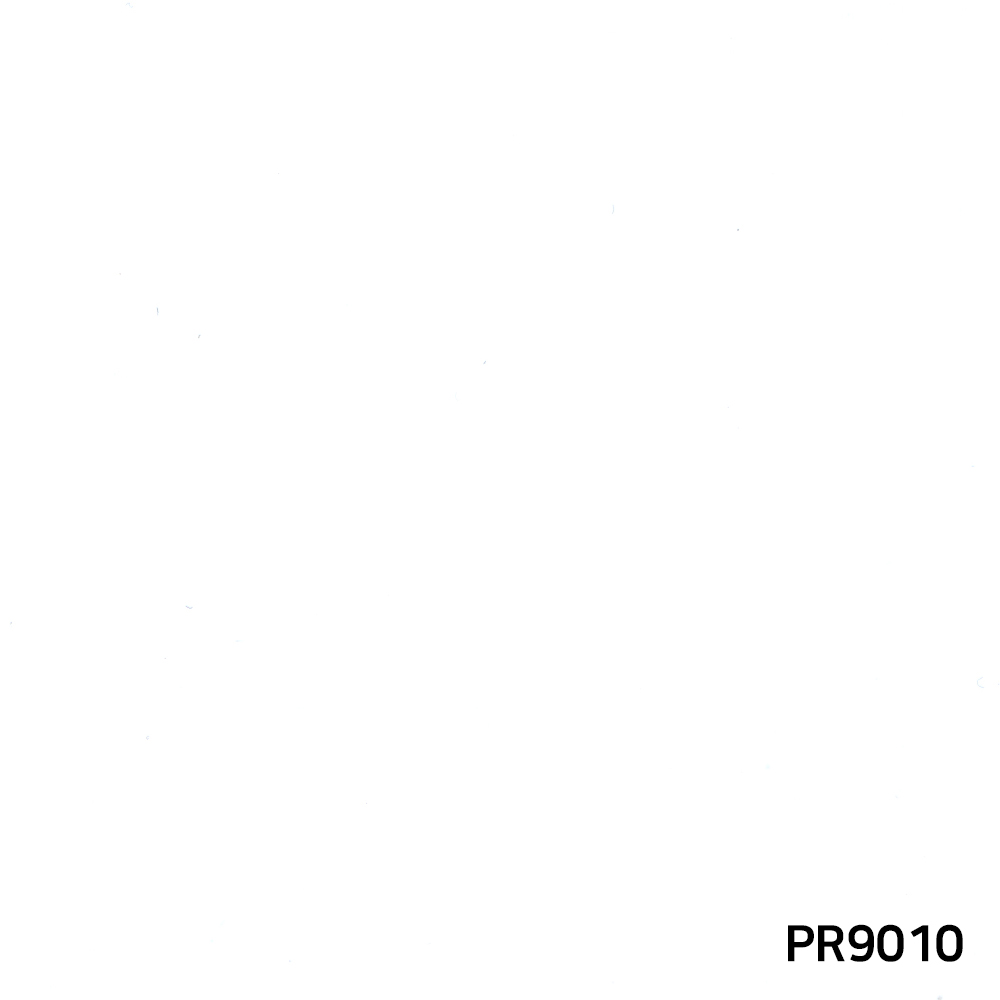 PR9010.jpg