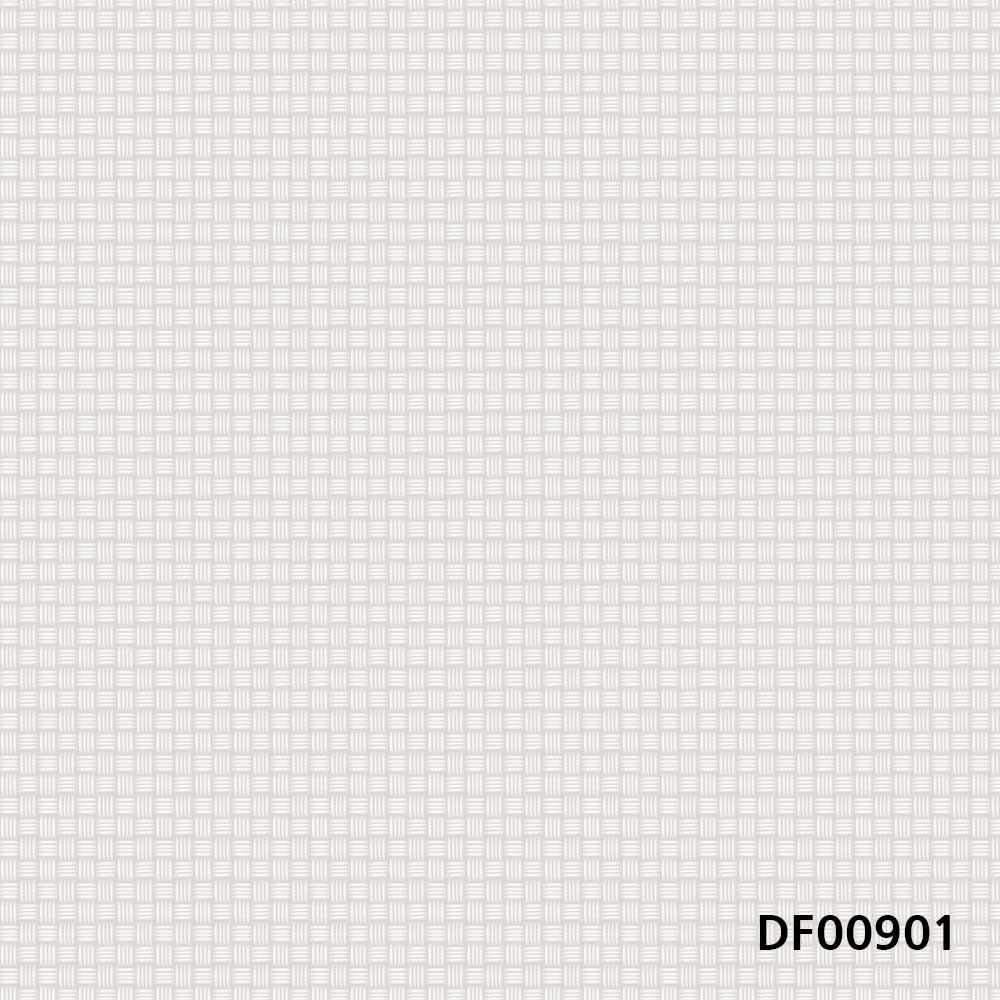 DF00901.jpg