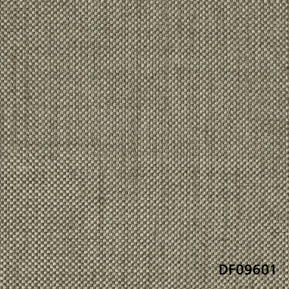 DF09601.jpg