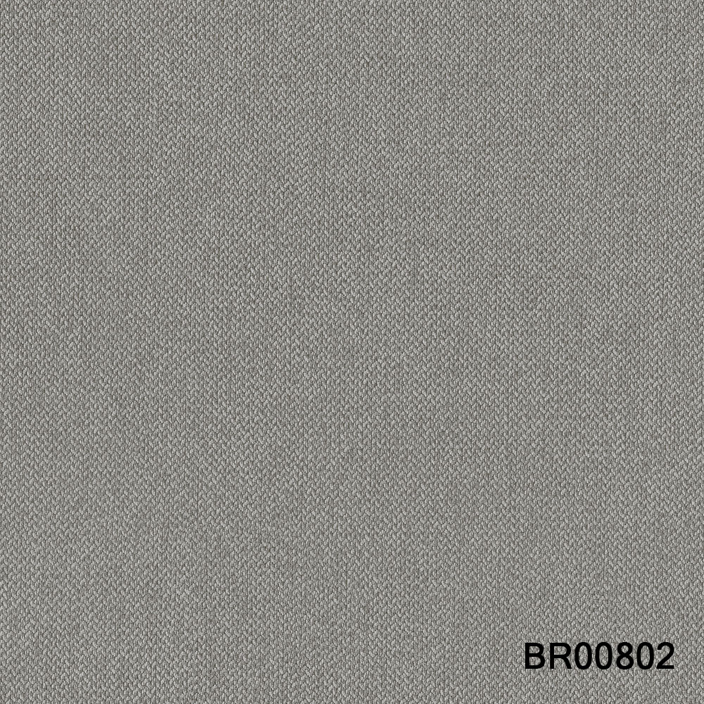 BR00802.jpg