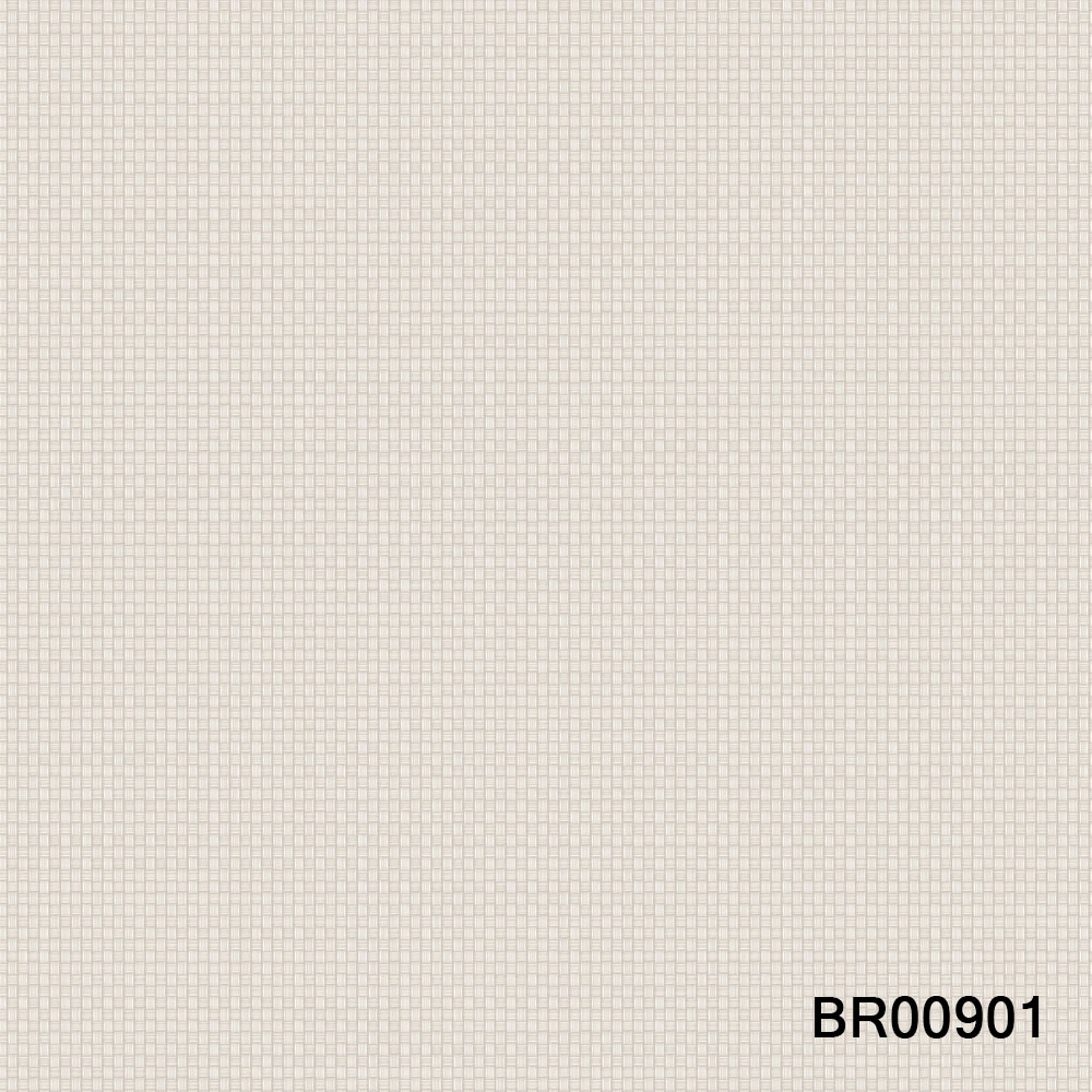 BR00901.jpg