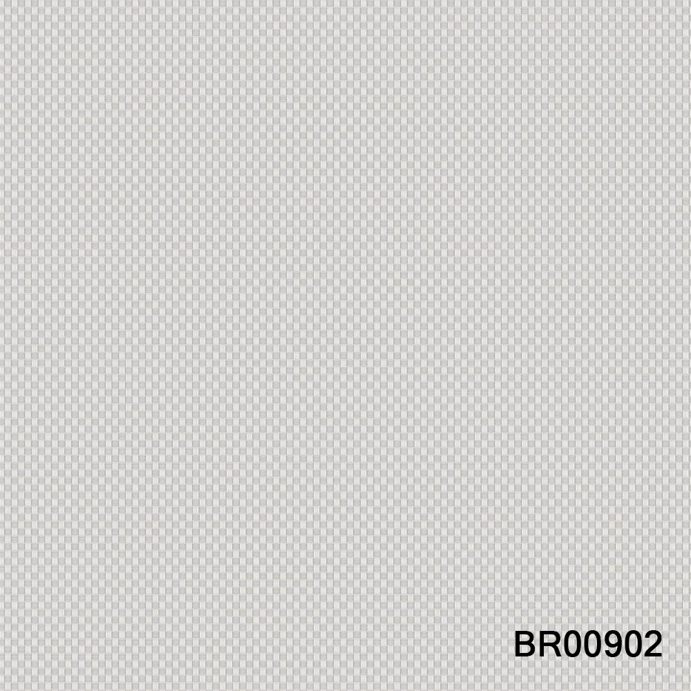 BR00902.jpg