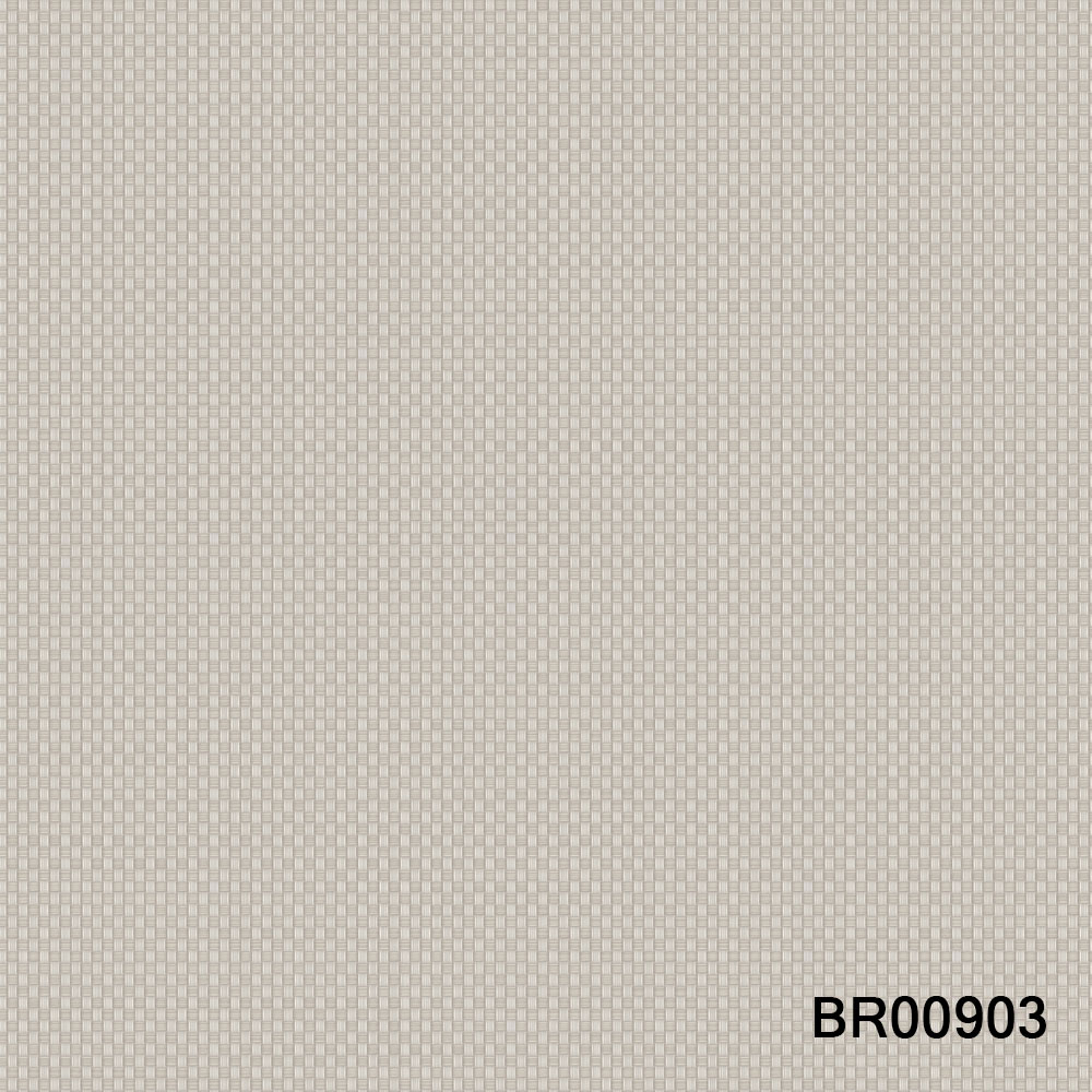 BR00903.jpg