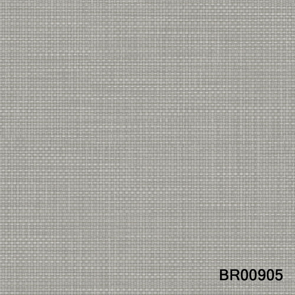 BR00905.jpg