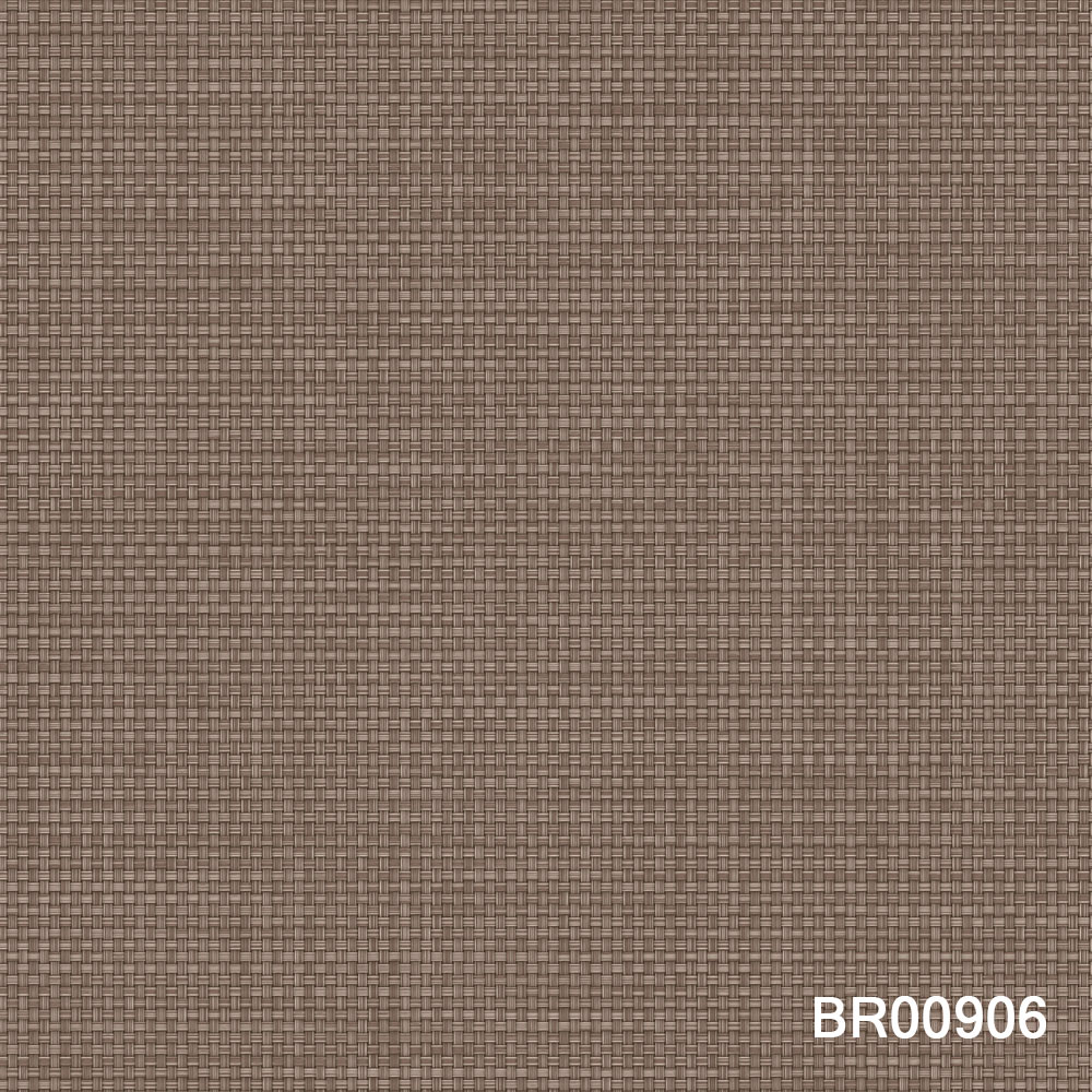 BR00906.jpg