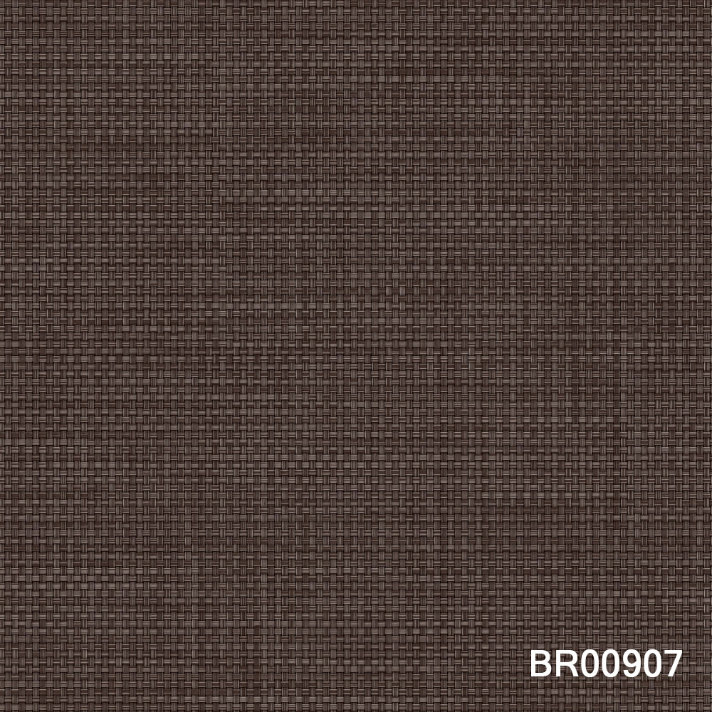 BR00907.jpg