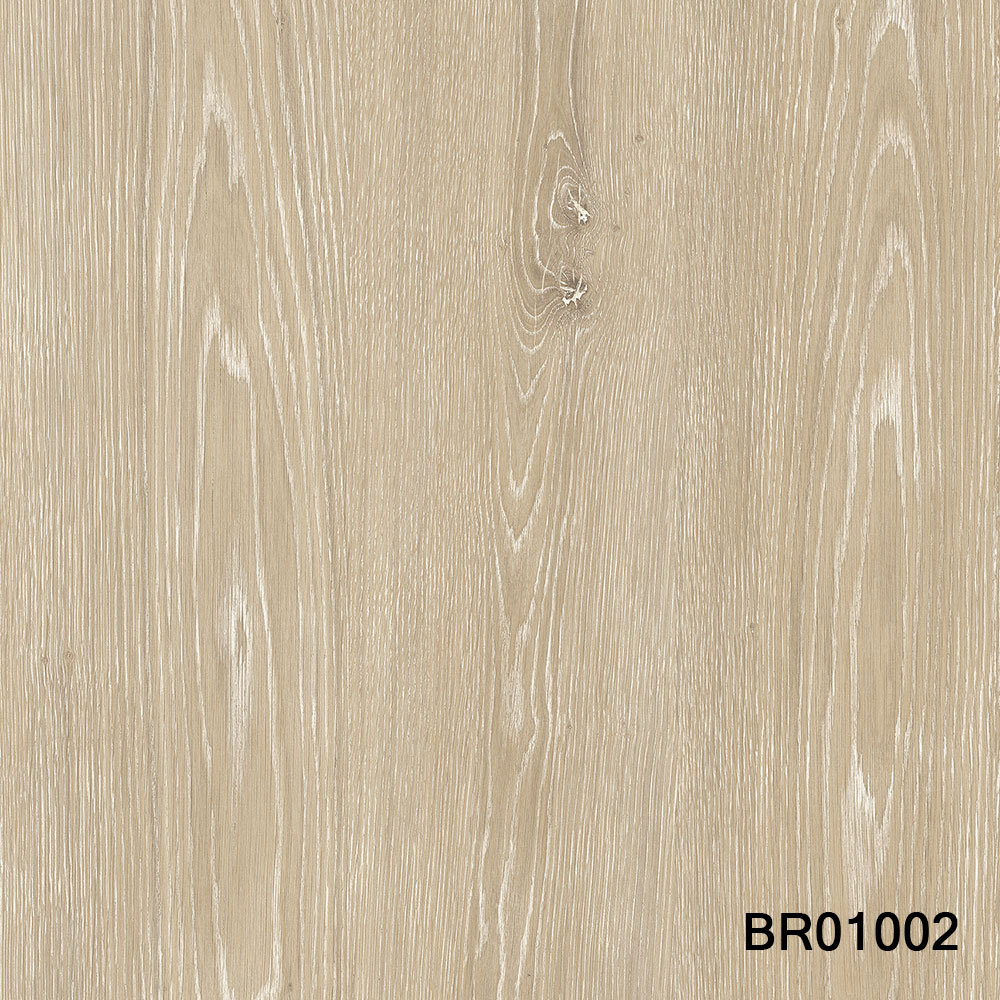 BR01002.jpg
