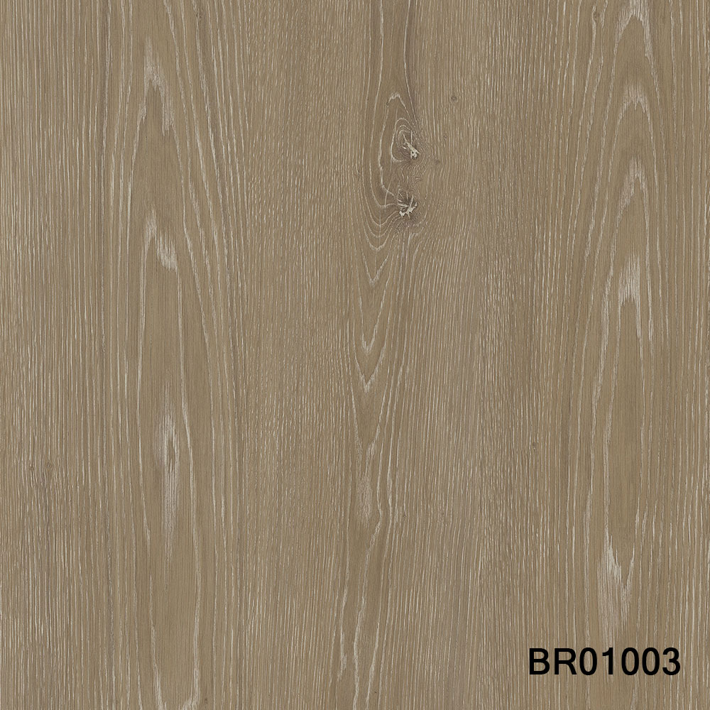 BR01003.jpg