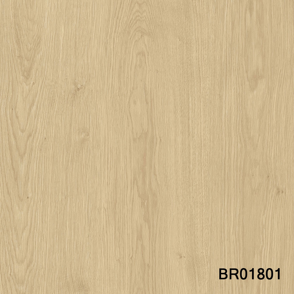 BR01801.jpg