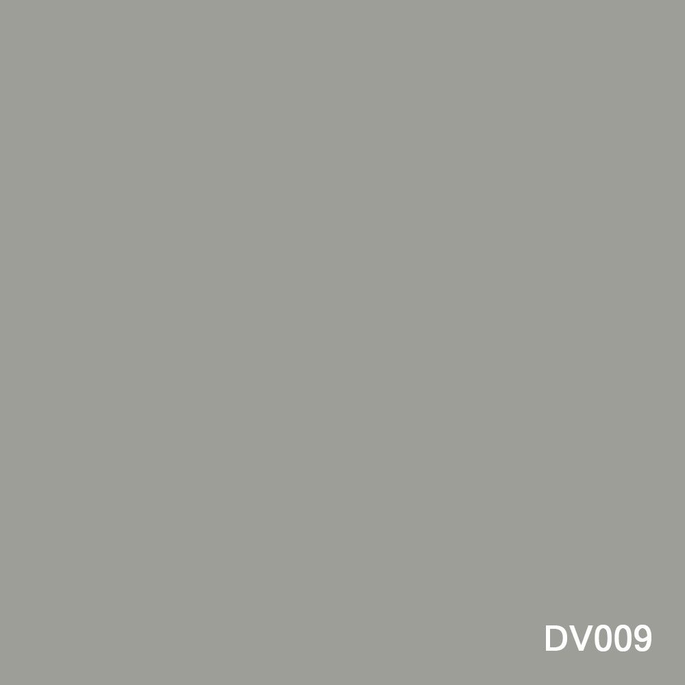 DV009.jpg