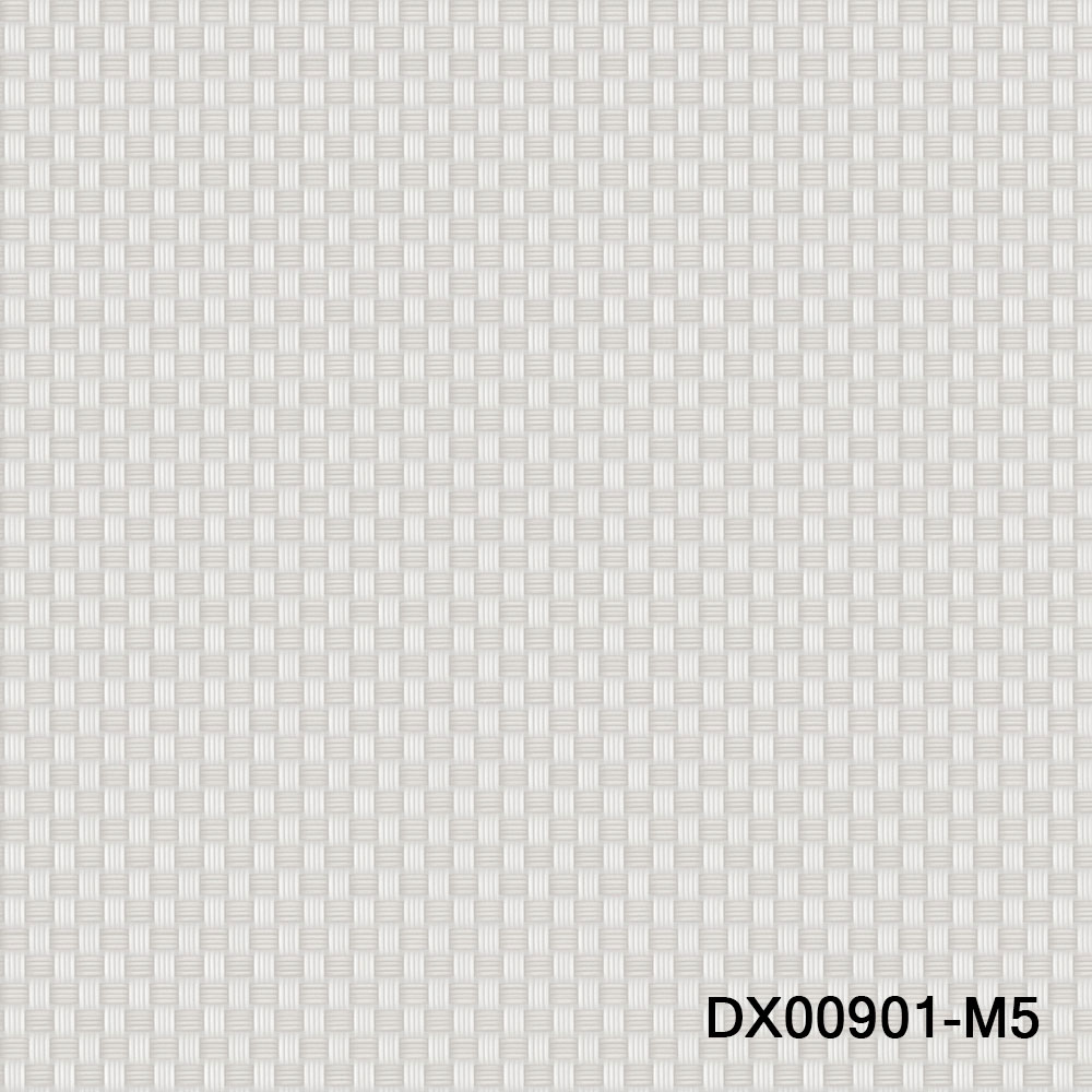 DX00901-M5.jpg