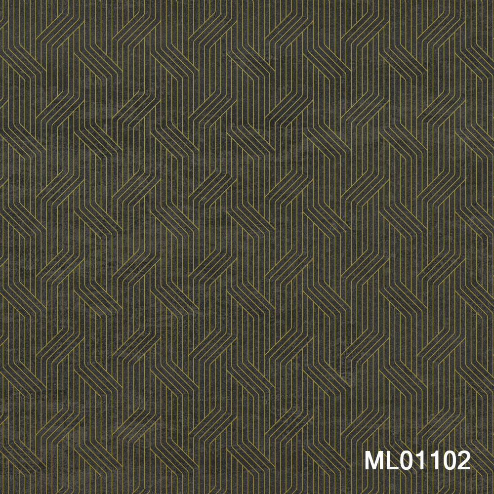 ML01102.jpg